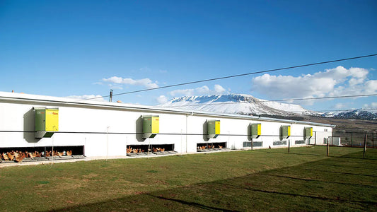 Sirokko Farm Tavuk Çiftliği Isıtıcısı Heater Shop